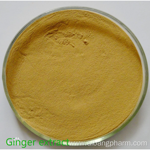 Natural Largehead Atractylodes Rhizome Extract Powder